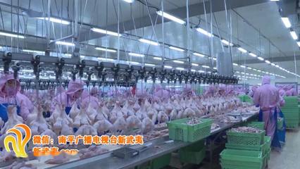 牢记总书记嘱托 书写新南平答卷 〉南平启动“绿色引擎” 促经济提质增效