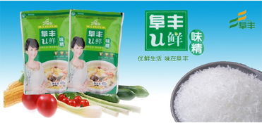 阜丰u鲜 味精 400g 袋