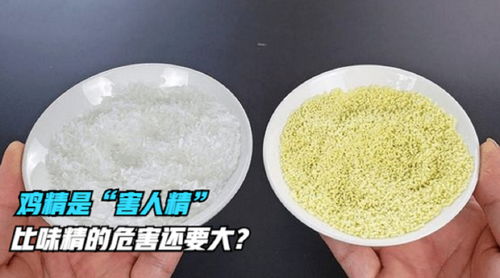 鸡精是 害人精 ,比味精的危害还要大 听听专家怎么说