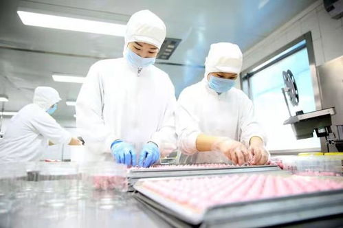 餐桌上的食品安全无小事 走进沈阳 绿色工厂 探访 神秘 的生产线