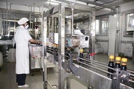 绥中 辽宁帝华味精食品